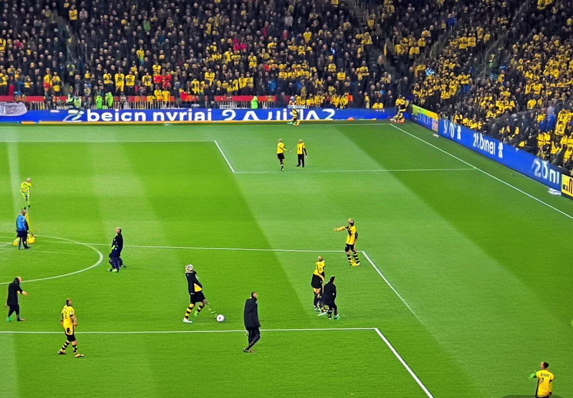 柏林联合vs多特蒙德：平局对决解析与未来展望(图3)